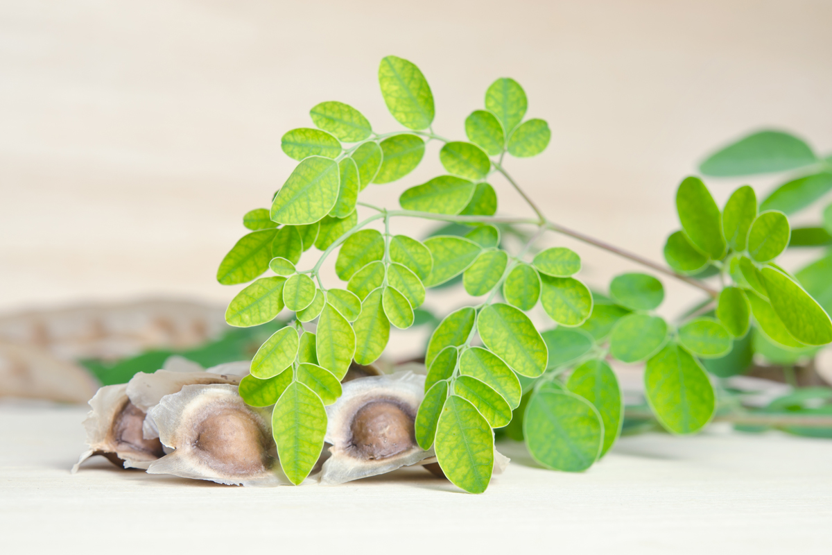 Moringa, superfood contro la glicemia!