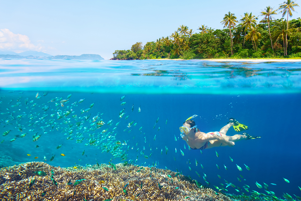 Creme solari: qualcuna fa male al reef