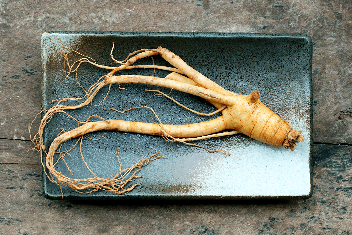 Ginseng a supporto del sistema immunitario