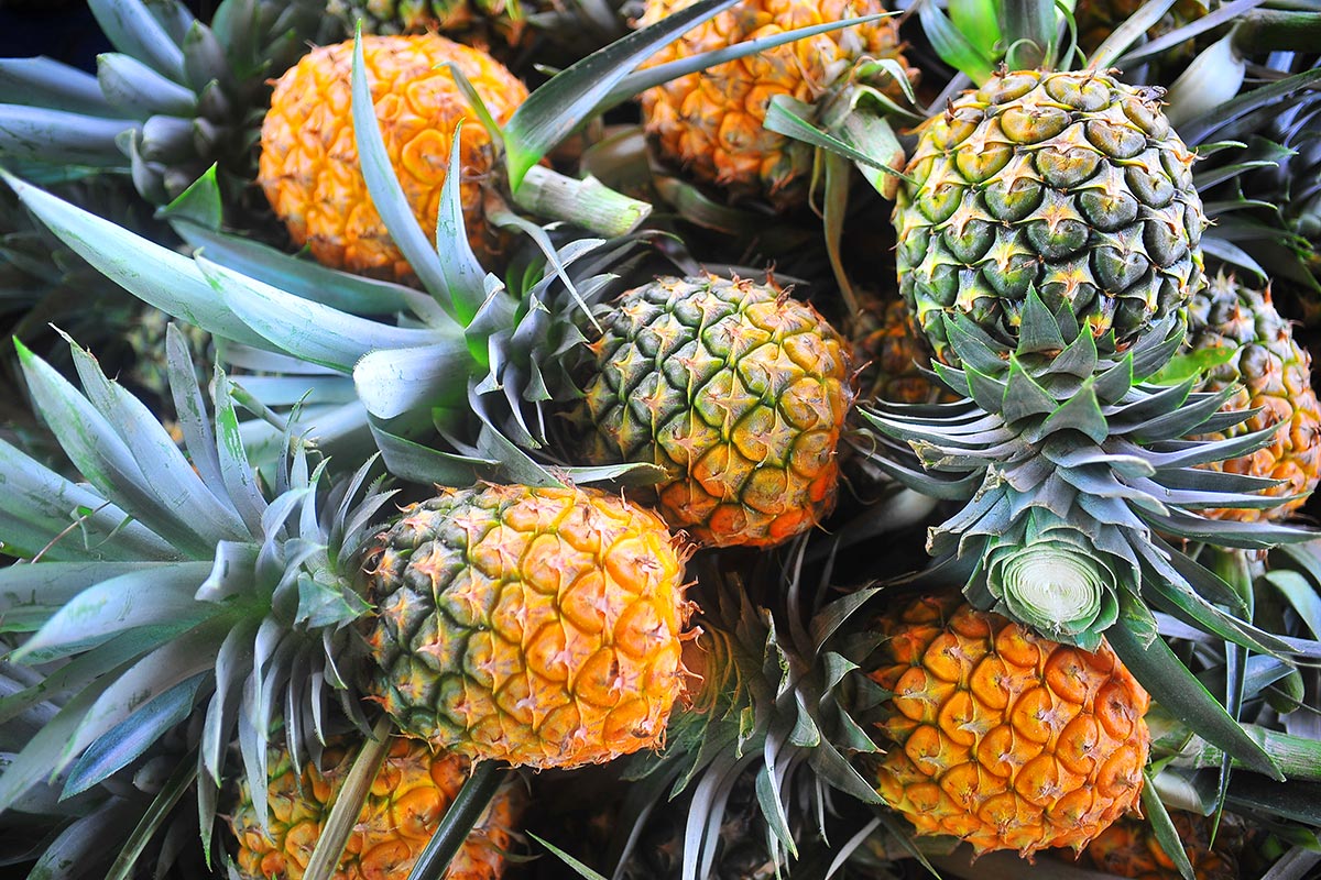 Problemi di peso? La bromelina può aiutare