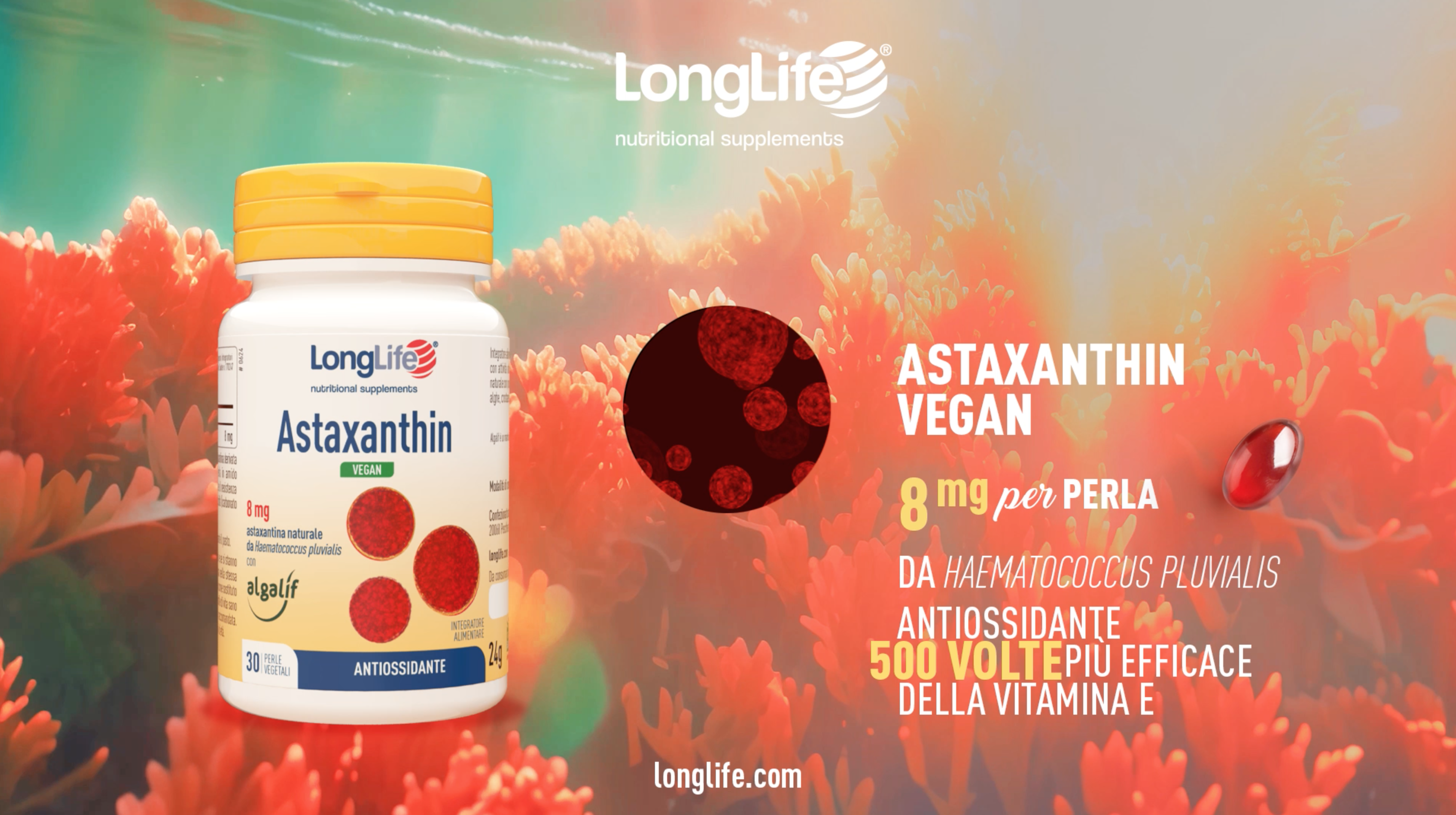 Astaxanthin Vegan 8mg